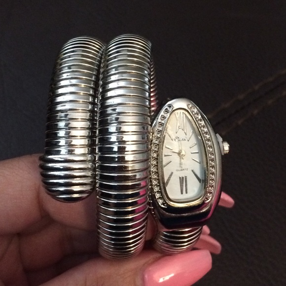 Jewelry - Stainless Steel Coil Snake Watch